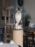 /album/09-11-20251/afbeelding-van-whatsapp-op-2025-11-08-om-08-04-29-345080d5-jpg/